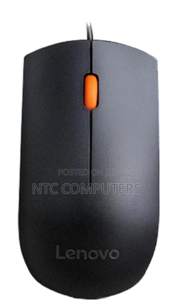 Lenovo 300 Wired USB Mouse - Black - GX30M39704
