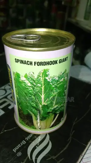 Spinach Seeds Fordhook Giant 100g