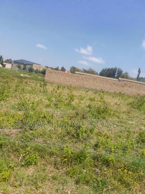 50 by 100 Nyamathi, Naivasha - thumbnail 2