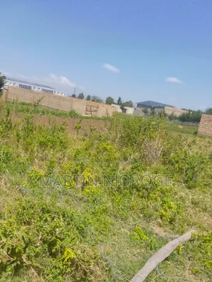 50 by 100 Nyamathi, Naivasha