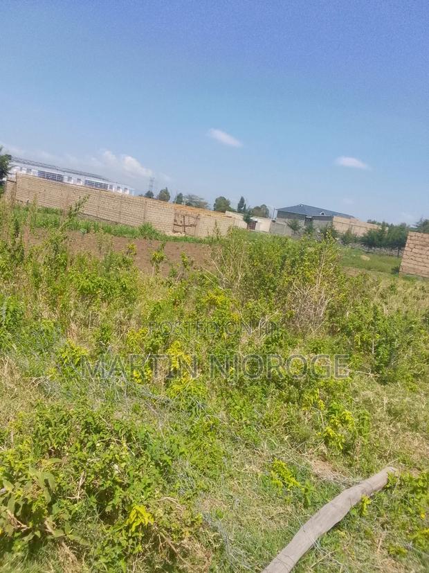 50 by 100 Nyamathi, Naivasha - thumbnail 3