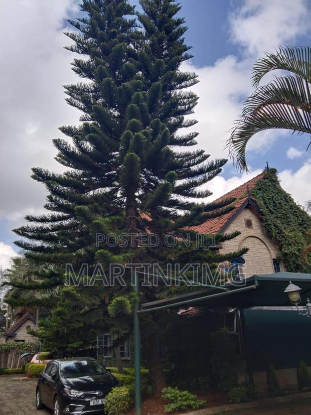 5bdrm Townhouse/Terrace in Othaya  Villars, Kileleshwa for sale - thumbnail 10