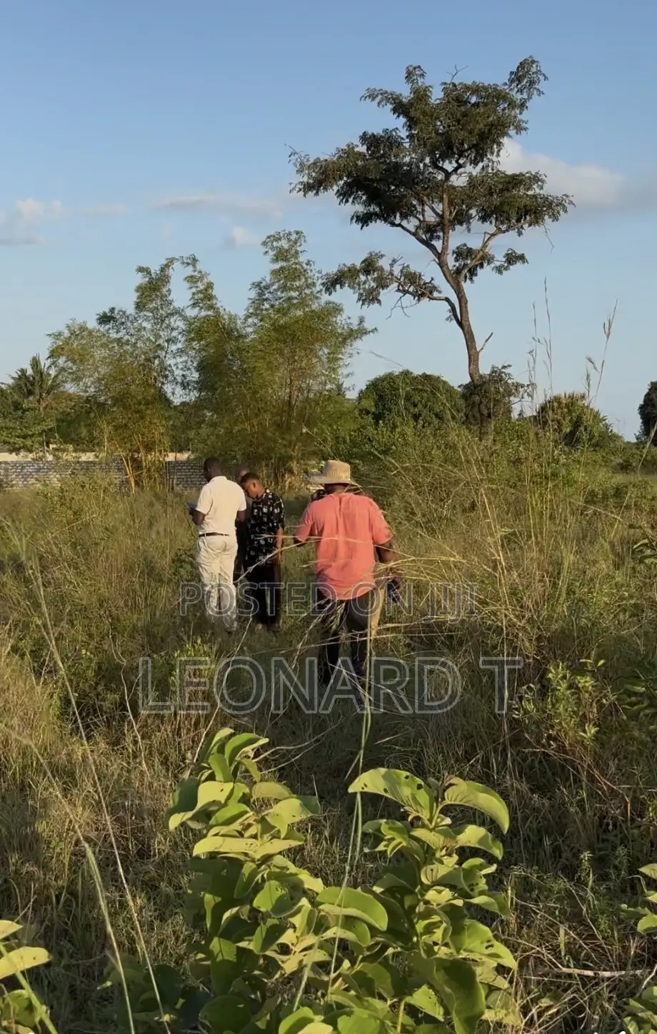 Plot of Land Near Diani- 1km From Kona Musa