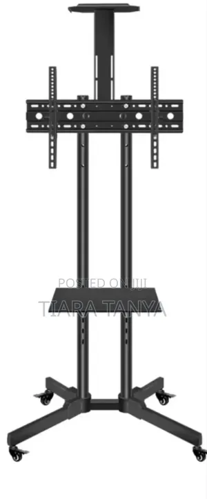 Standing Movable Tv Mount