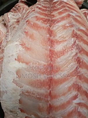 Fish Supplier - main view