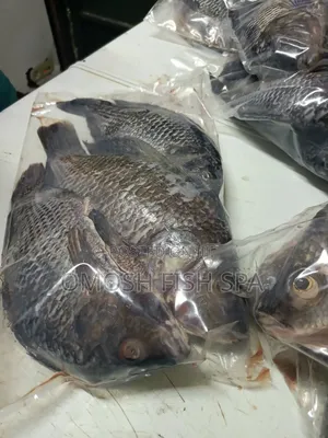Fish Supplier