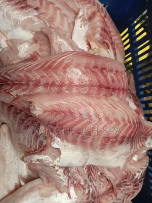 Fish Supplier