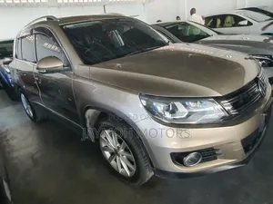 Volkswagen Tiguan 2014 Brown