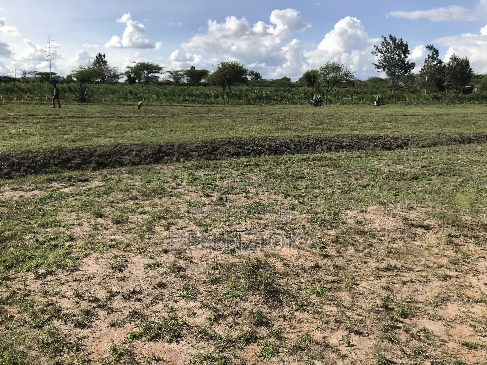 Half Acre for Sale