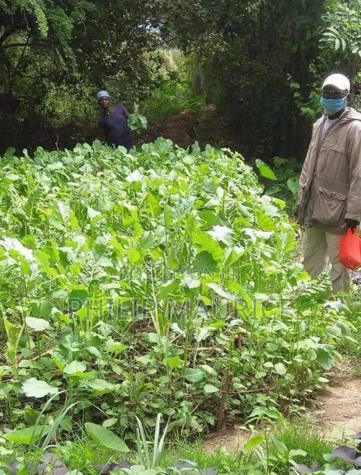 Advance Permaculture Design Course