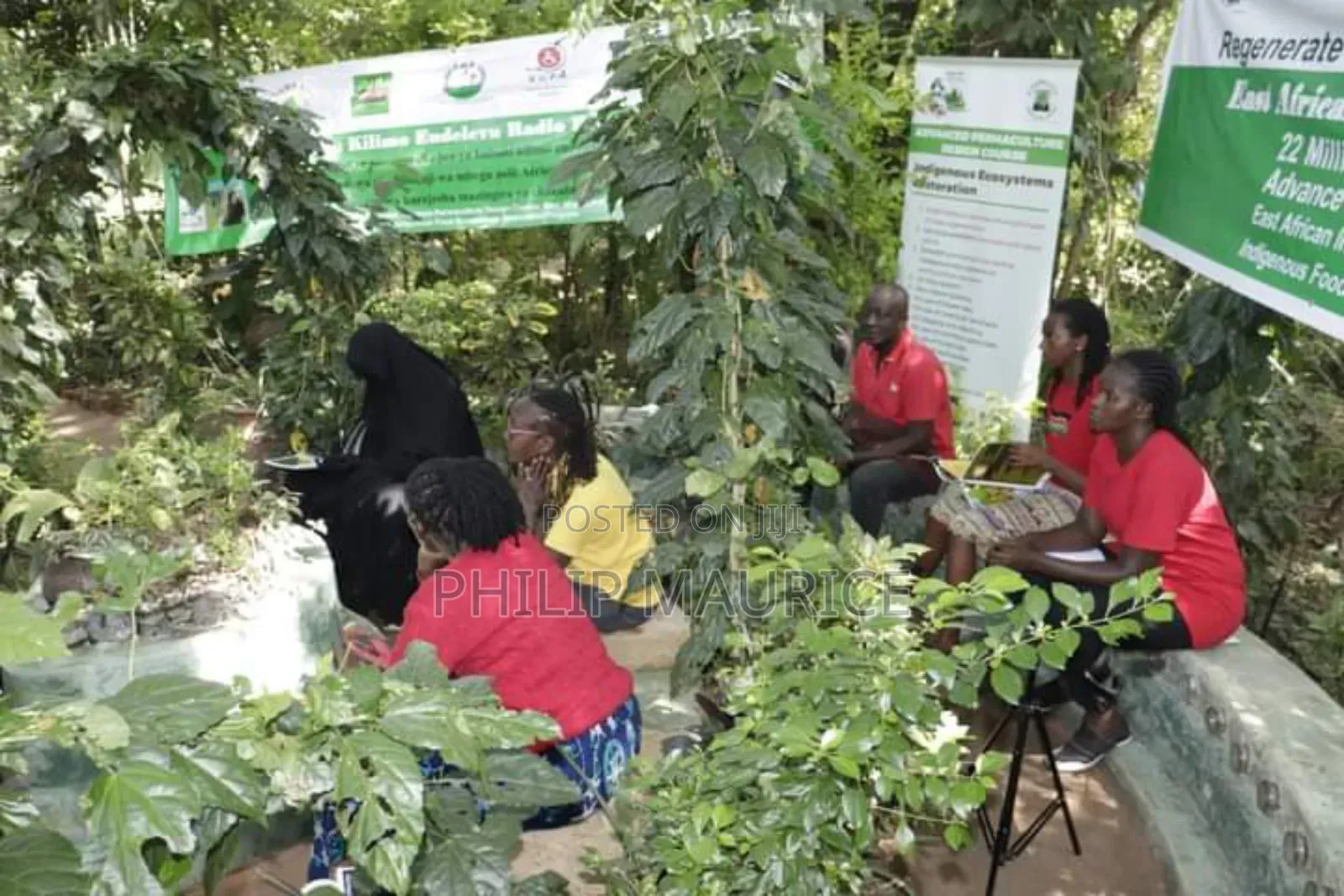 Advance Permaculture Design Course
