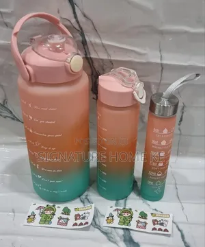 3 in 1 Water Bottle