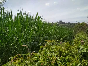 Quarter Acre Red Soil Plot in Ngong, Bondeni. Ready to Build