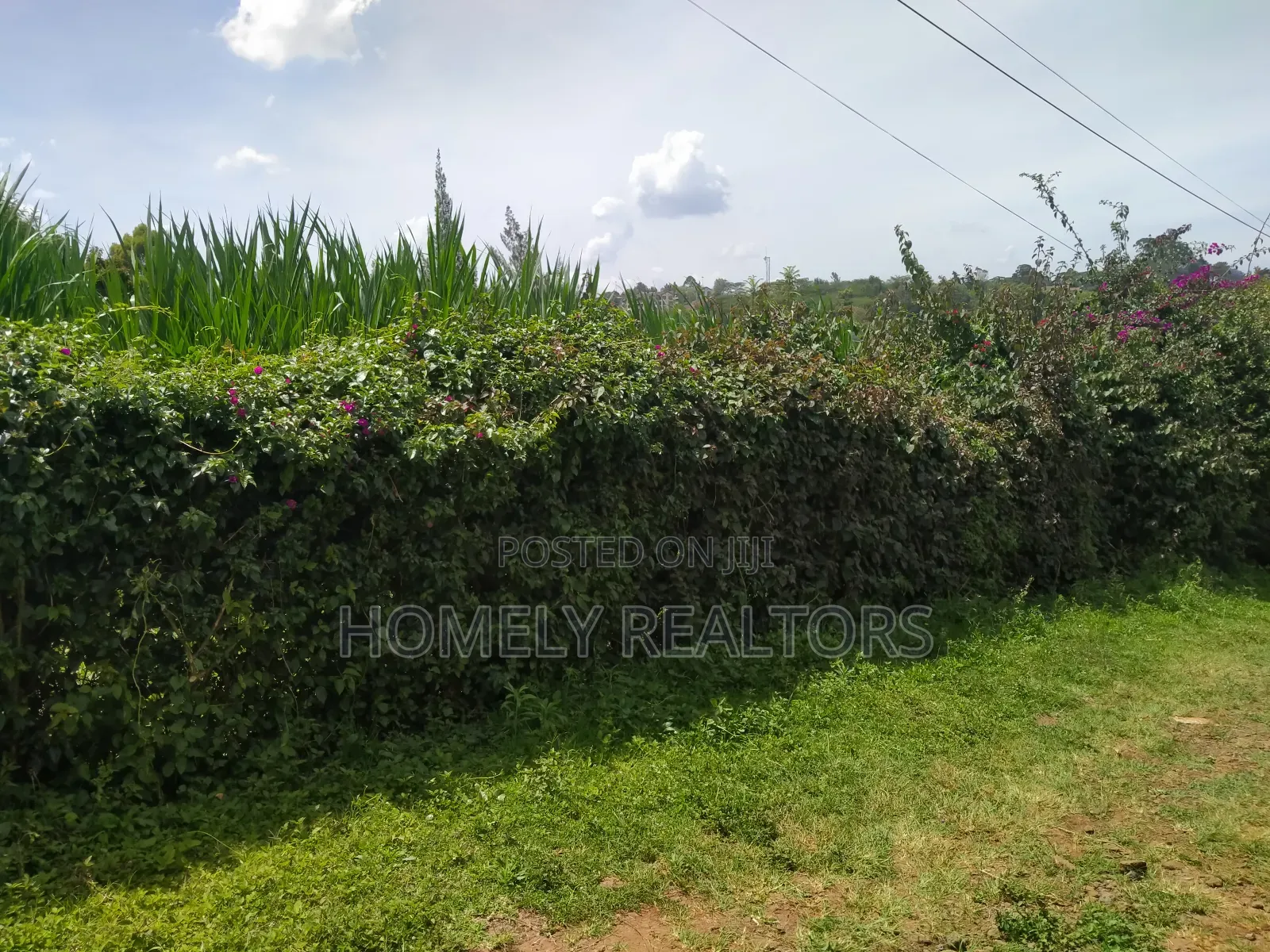 Quarter Acre Red Soil Plot in Ngong, Bondeni. Ready to Build