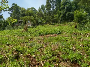 Quarter Acre Plot in Bondeni, Ngong Along Masai Rd. Red Soil