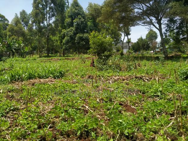 Quarter Acre Plot in Bondeni, Ngong Along Masai Rd. Red Soil - thumbnail 3