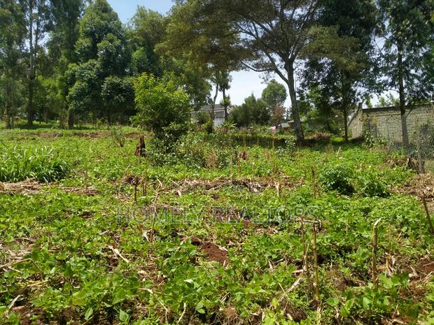 Quarter Acre Plot in Bondeni, Ngong Along Masai Rd. Red Soil - thumbnail 4
