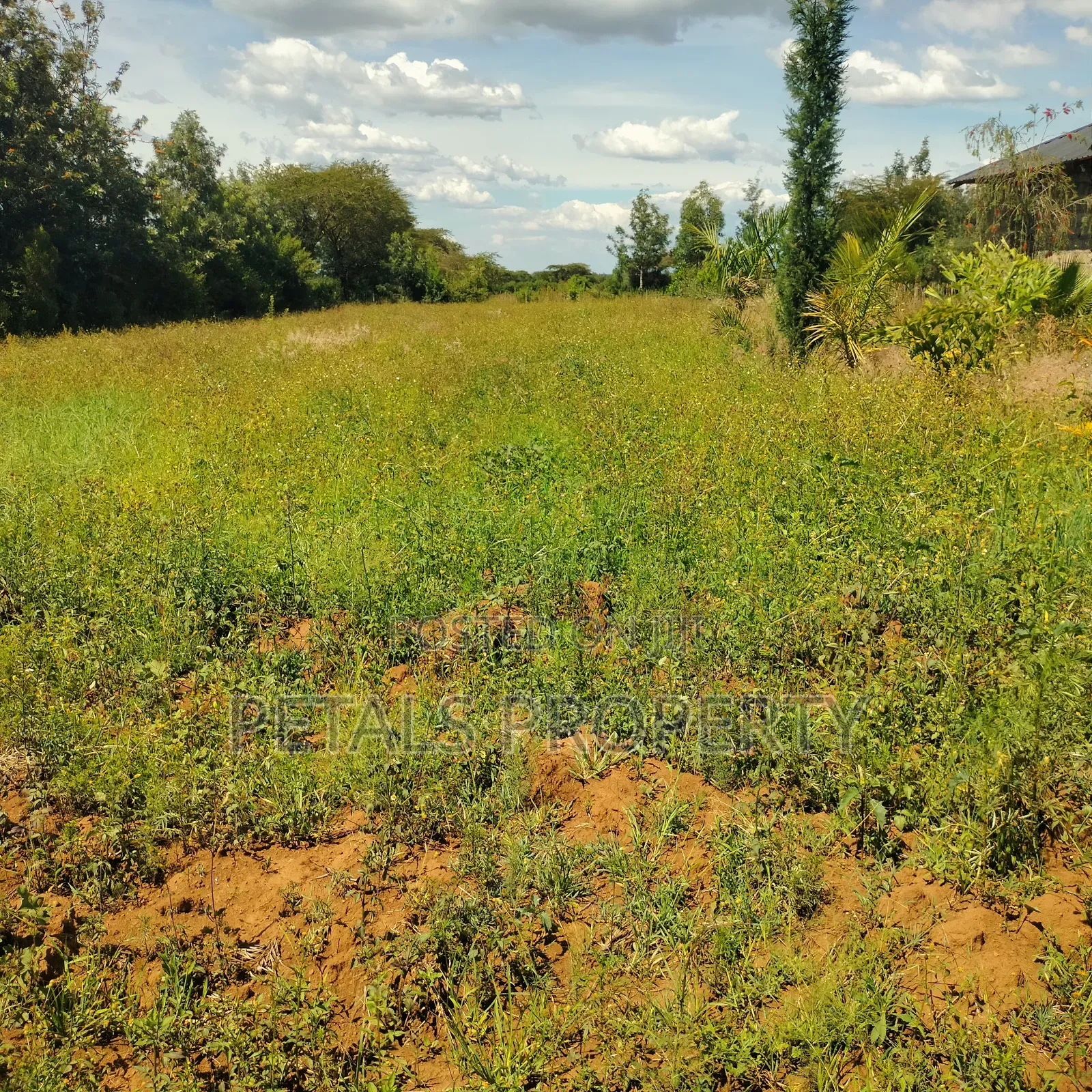 1/2 Acre Plot for Sale in Kabarak Chergei