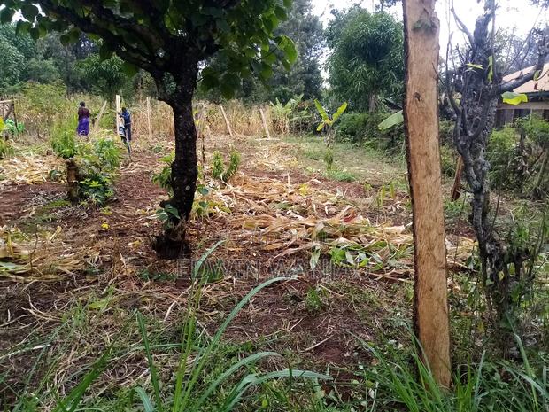 50 * 100 Land On Sale At Kambandi, Tharaka-nithi County