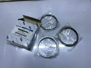 Ford Raptor 2.0l Piston Rings