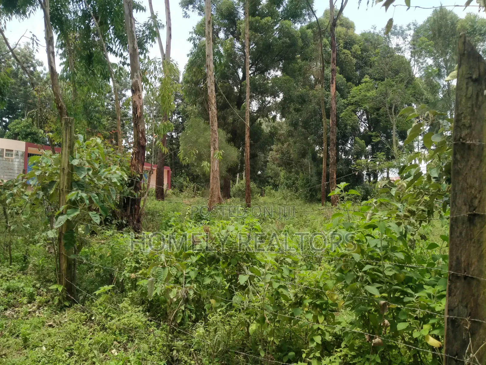 Quarter Acre Plot In Ngong, Bondeni Along Masai. Red Soil