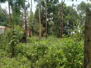 Quarter Acre Plot In Ngong, Bondeni Along Masai. Red Soil