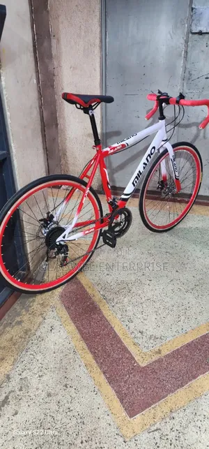 Mountain Bike With Gear