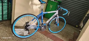 Racing Bicycle Size 27