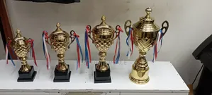 Giant Glorious Golden Trophy - 52cm