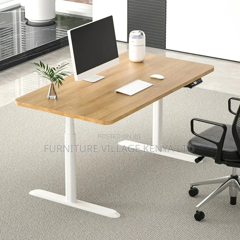 Electric Adjustable Standing Study Desk
