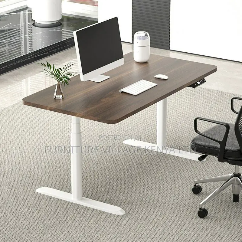 Electric Adjustable Standing Study Desk