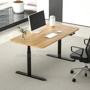 Electric Adjustable Standing Study Desk