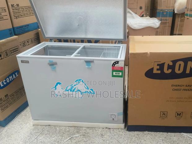 Chest Freezer 219 Ecomax Freezee
