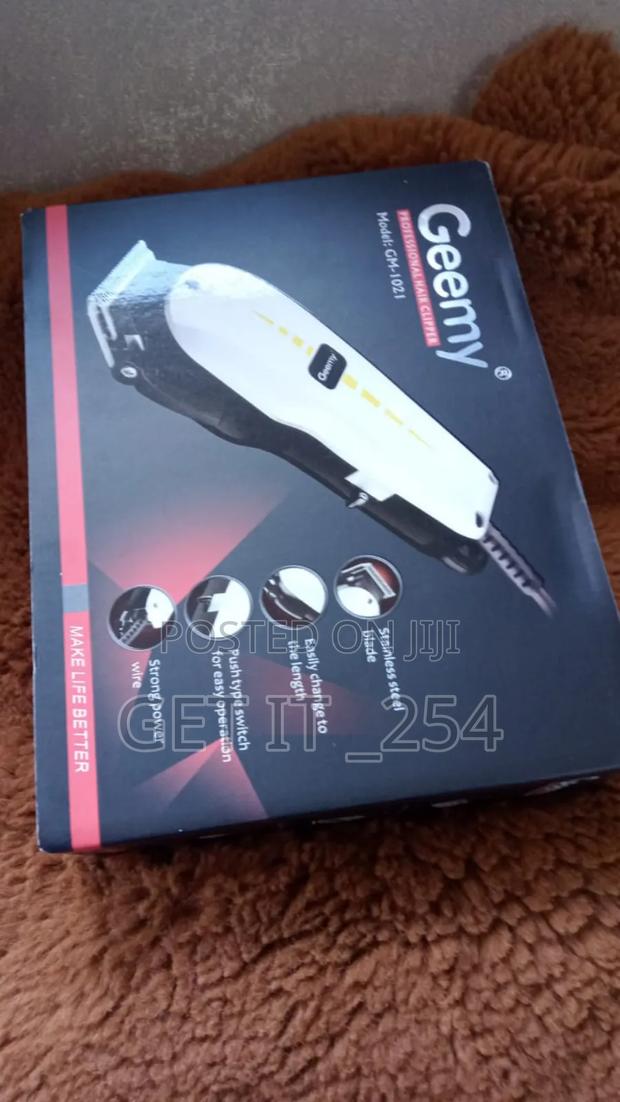 Gemmy Shaver - main view