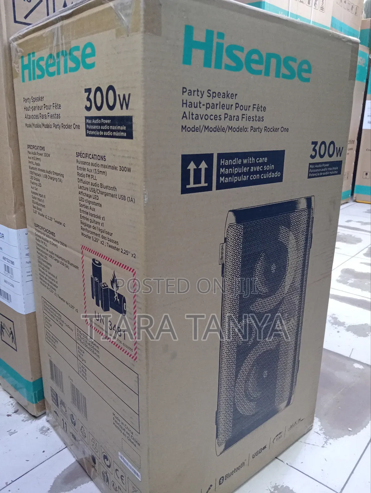 Hisense Hp100 300w Portable Party Rocker