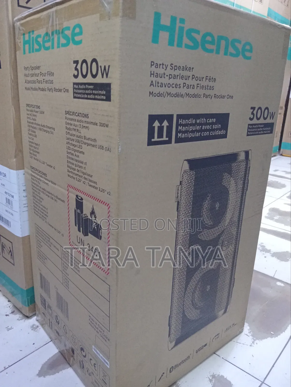 Hisense Hp100 300w Portable Party Rocker