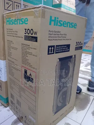 Hisense Hp100 300w Portable Party Rocker