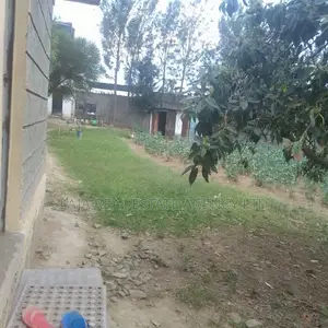 Naivasha Industrial Sale