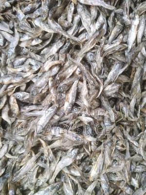 Small Fish for Your Pets - thumbnail 2