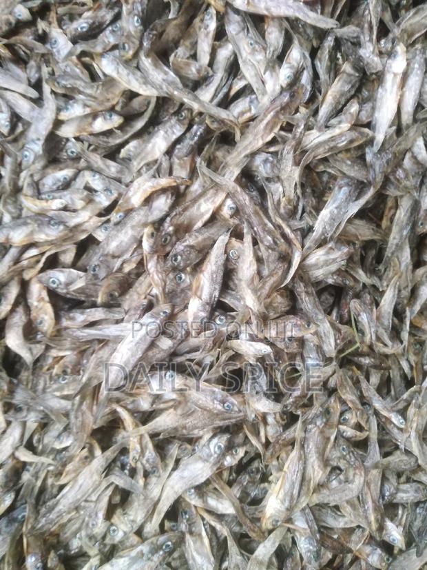 Small Fish for Your Pets - main view