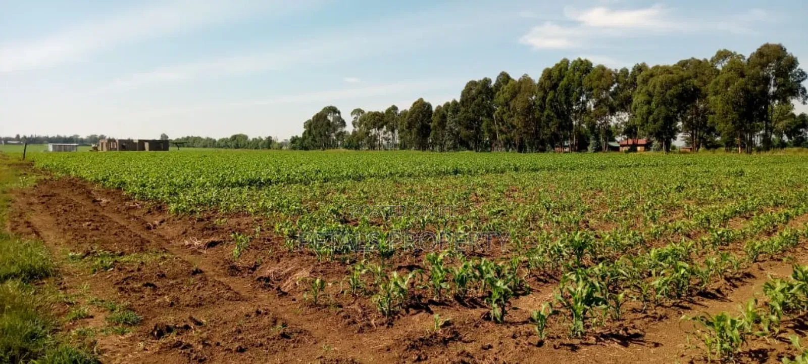 2.3 Acres for Sale in Sobea