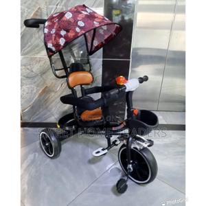Push Tricycle With Canopy *Push Tricycle With Canopy - main view