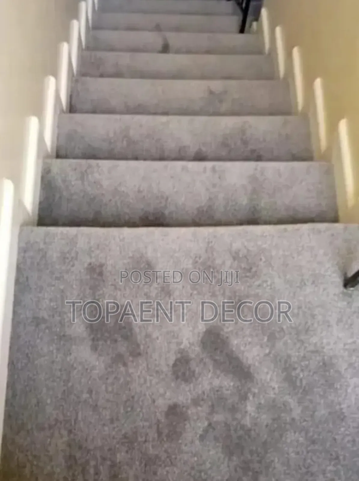Light Grey Vip Wall to Wall Hotel Staircase Carpet