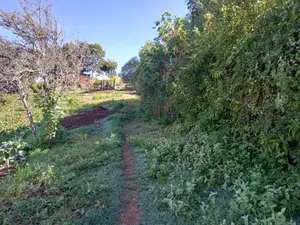 Scenic Land for a Home
