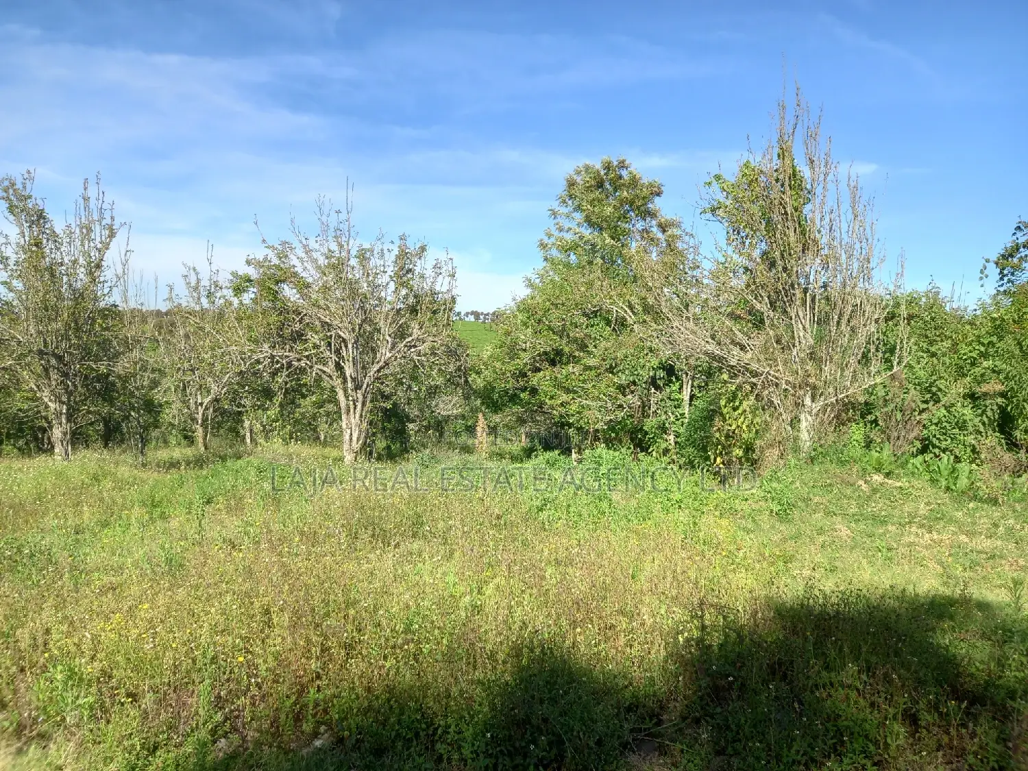 Scenic Land for a Home