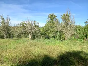 Scenic Land for a Home