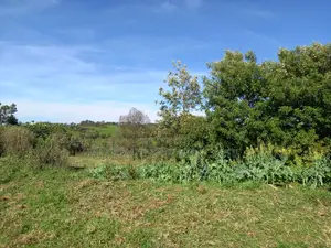 Scenic Land for a Home