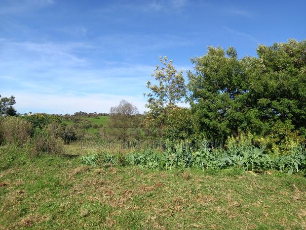 Scenic Land for a Home - thumbnail 3