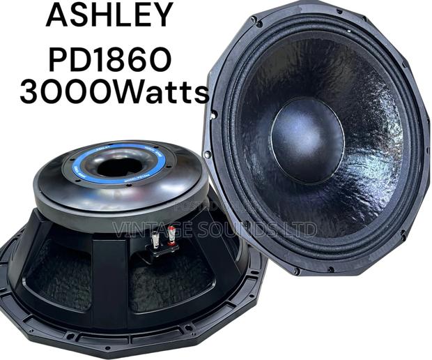 Ashley Pd1860 18” Subwoofer Bass Speaker W/152voice COIL