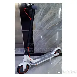 *Adult Electric Scooter*